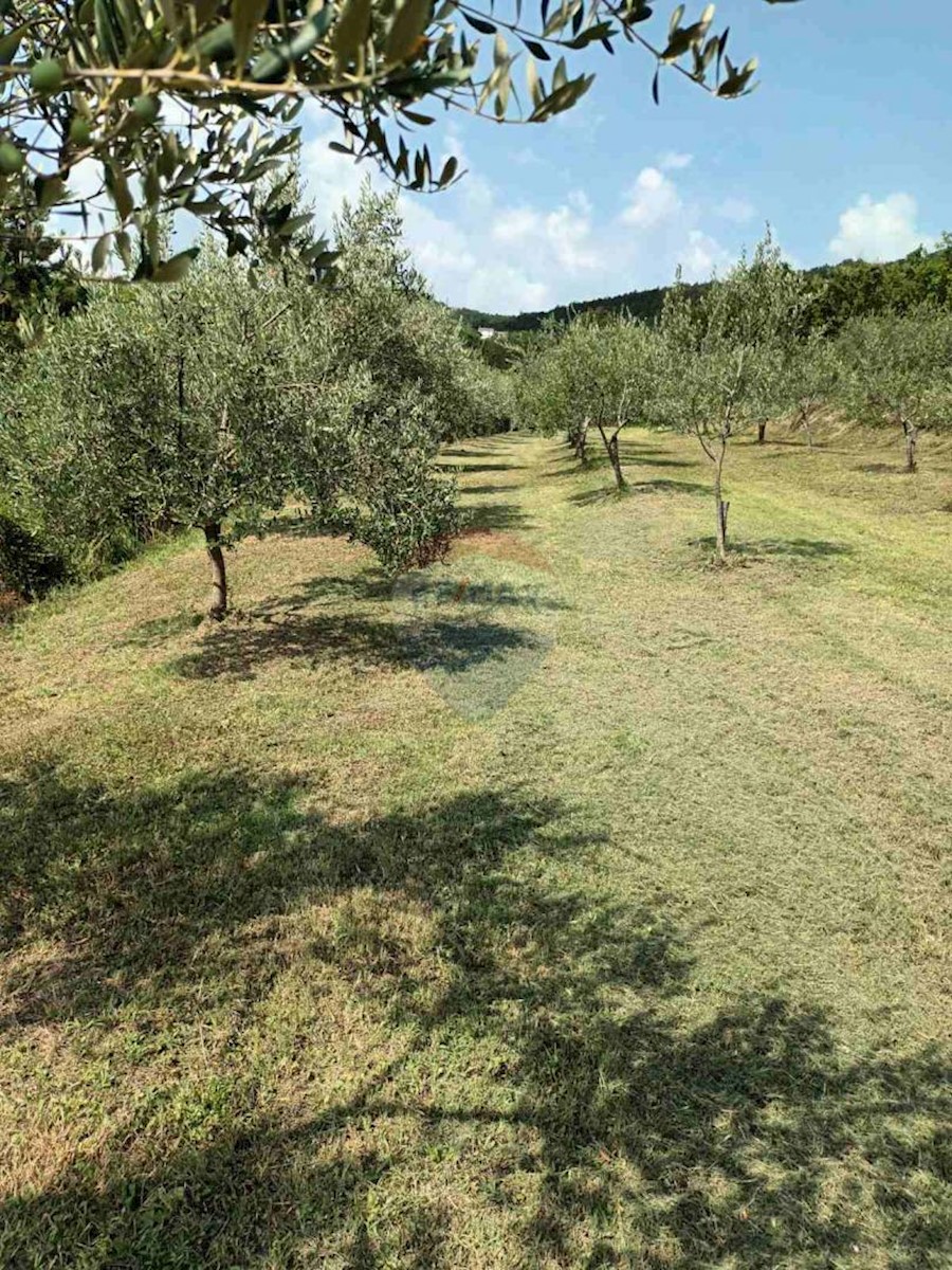 Zemljište Na prodaju - ISTARSKA BUZET