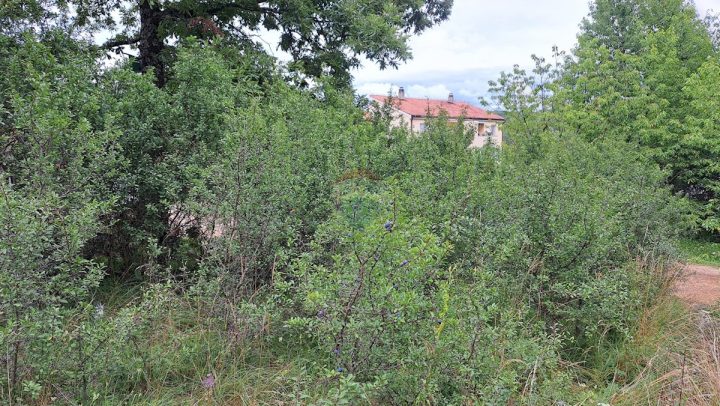 Grundstück zu verkaufen 345 m² – Veli Brgud