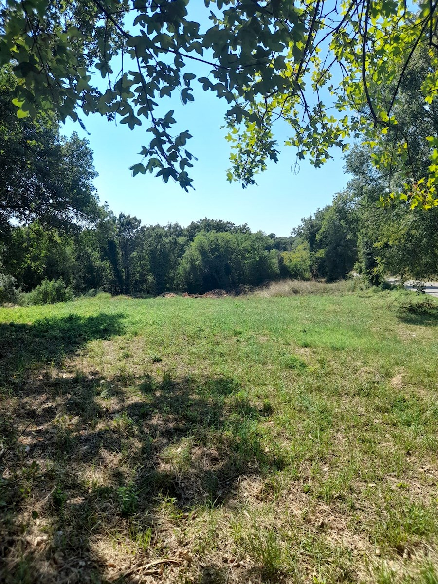 Land For sale - ISTARSKA PULA