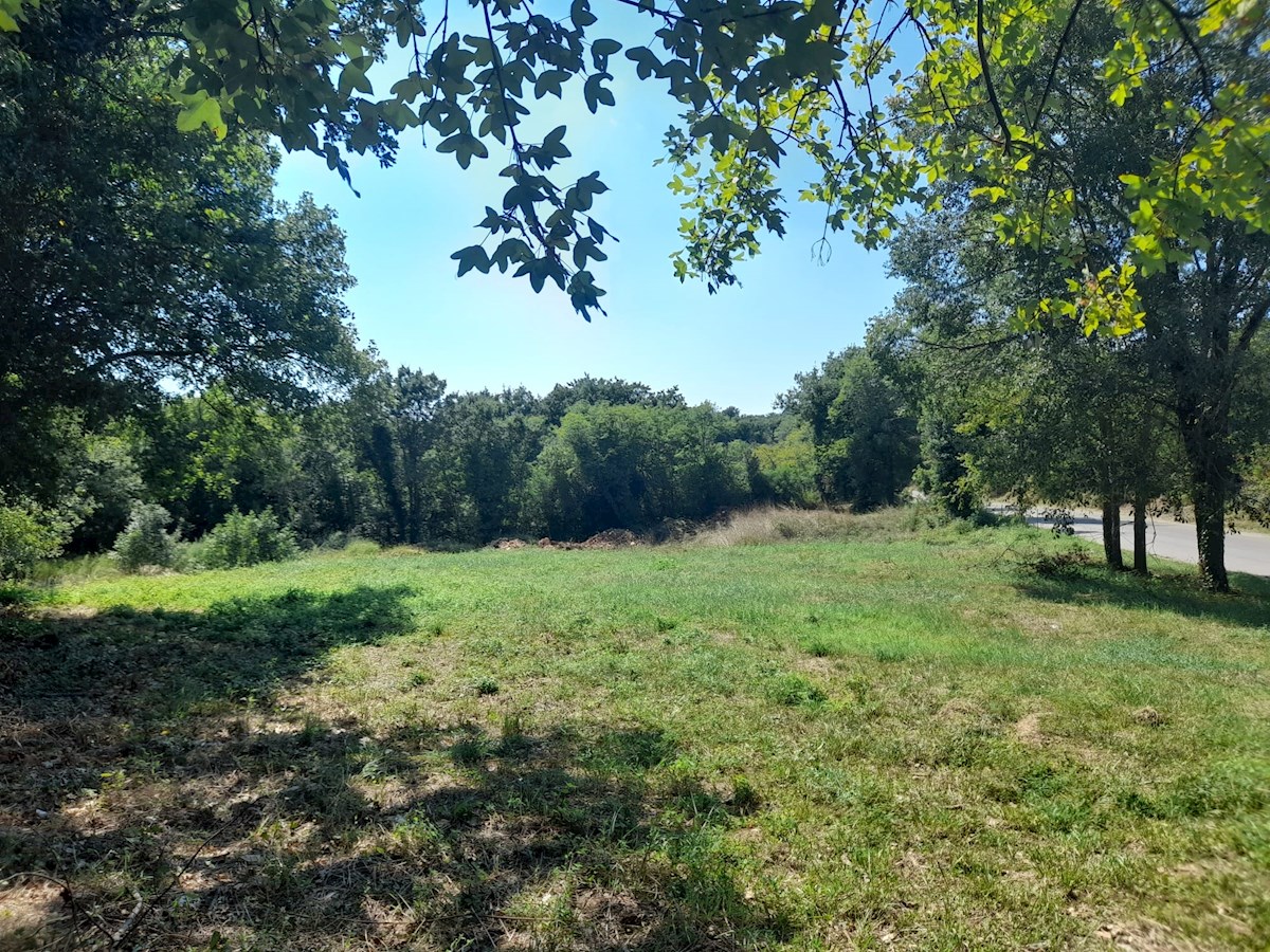 Land For sale - ISTARSKA PULA