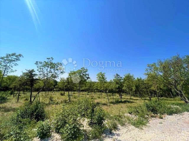 Pozemok na predaj 1246 m² – Barban