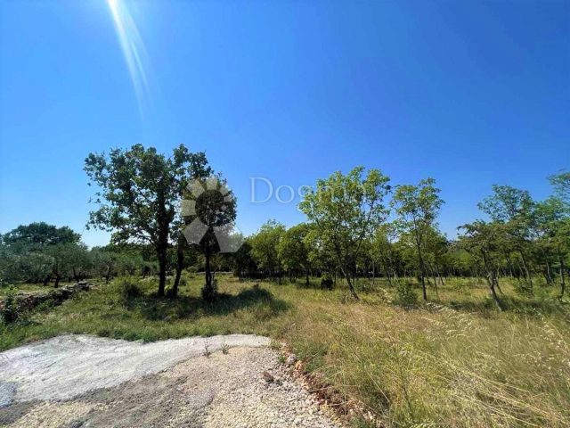 Parcela Naprodaj - Istarska Barban - foto 4/5