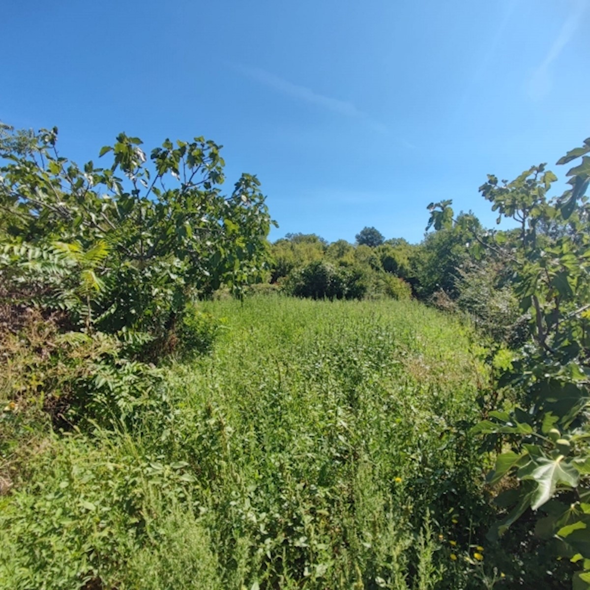 Terreno In vendita MILOHNIĆI