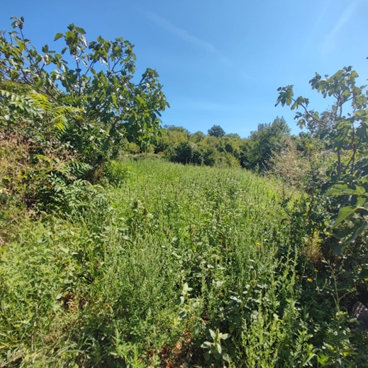 Terreno In vendita MILOHNIĆI