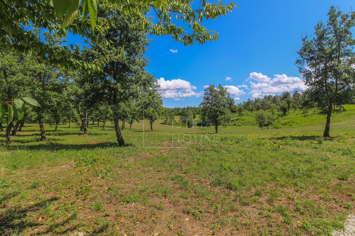 Pozemek Na prodej - ISTARSKA POREČ