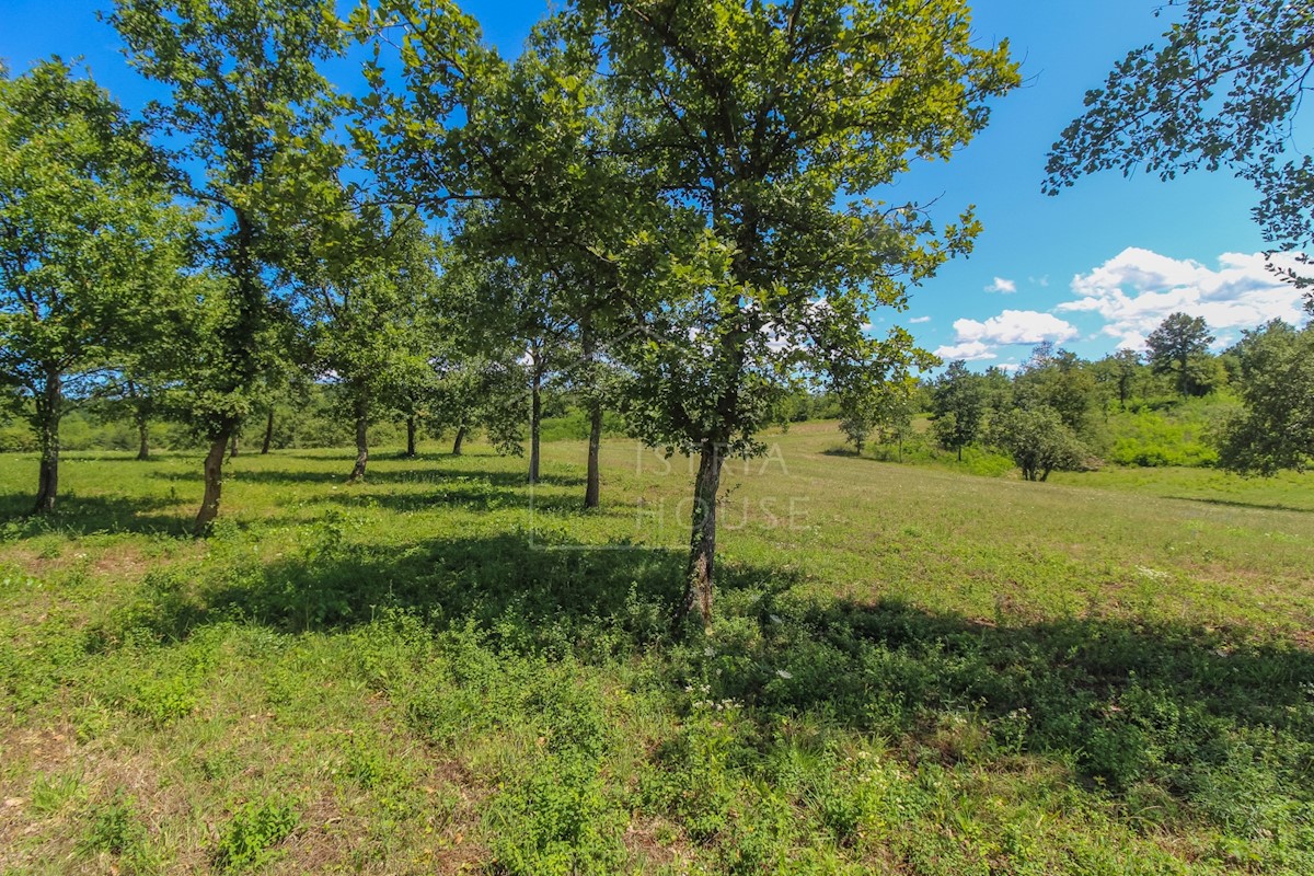 Pozemek Na prodej - ISTARSKA POREČ