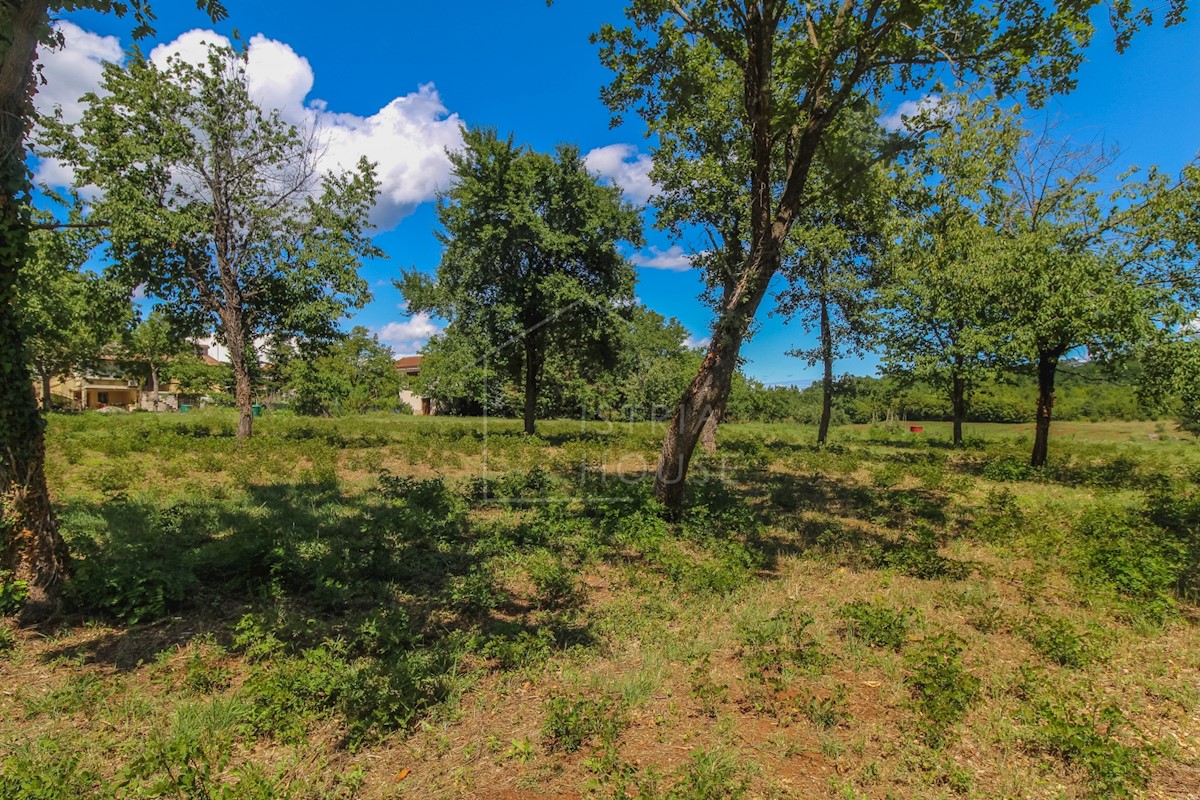 Terreno In vendita - ISTARSKA POREČ