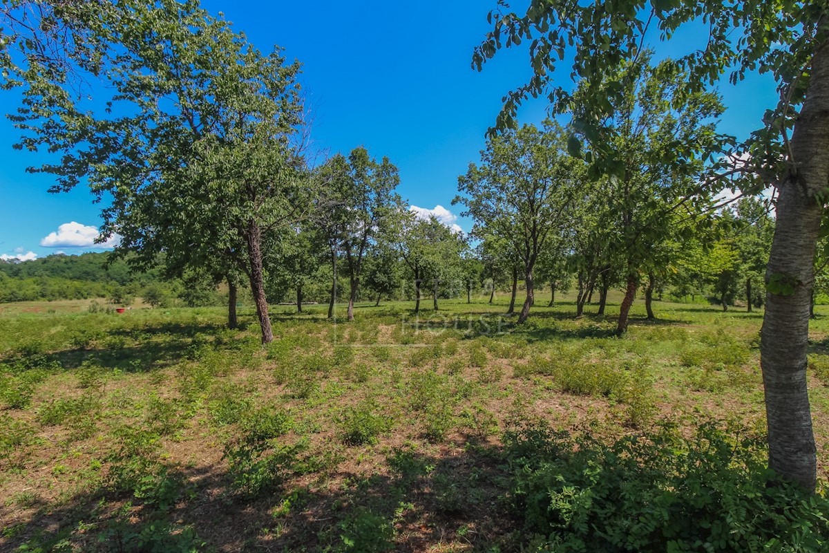 Terreno In vendita - ISTARSKA POREČ