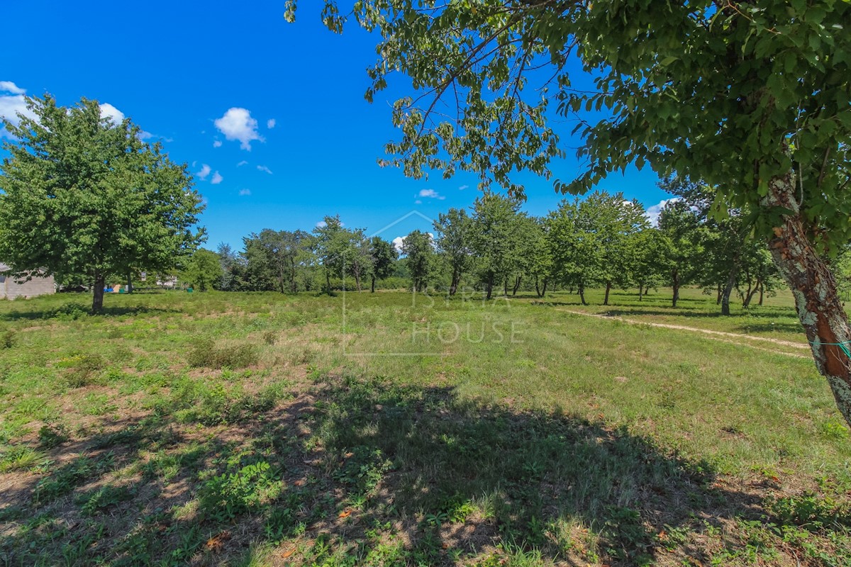 Terreno In vendita - ISTARSKA POREČ