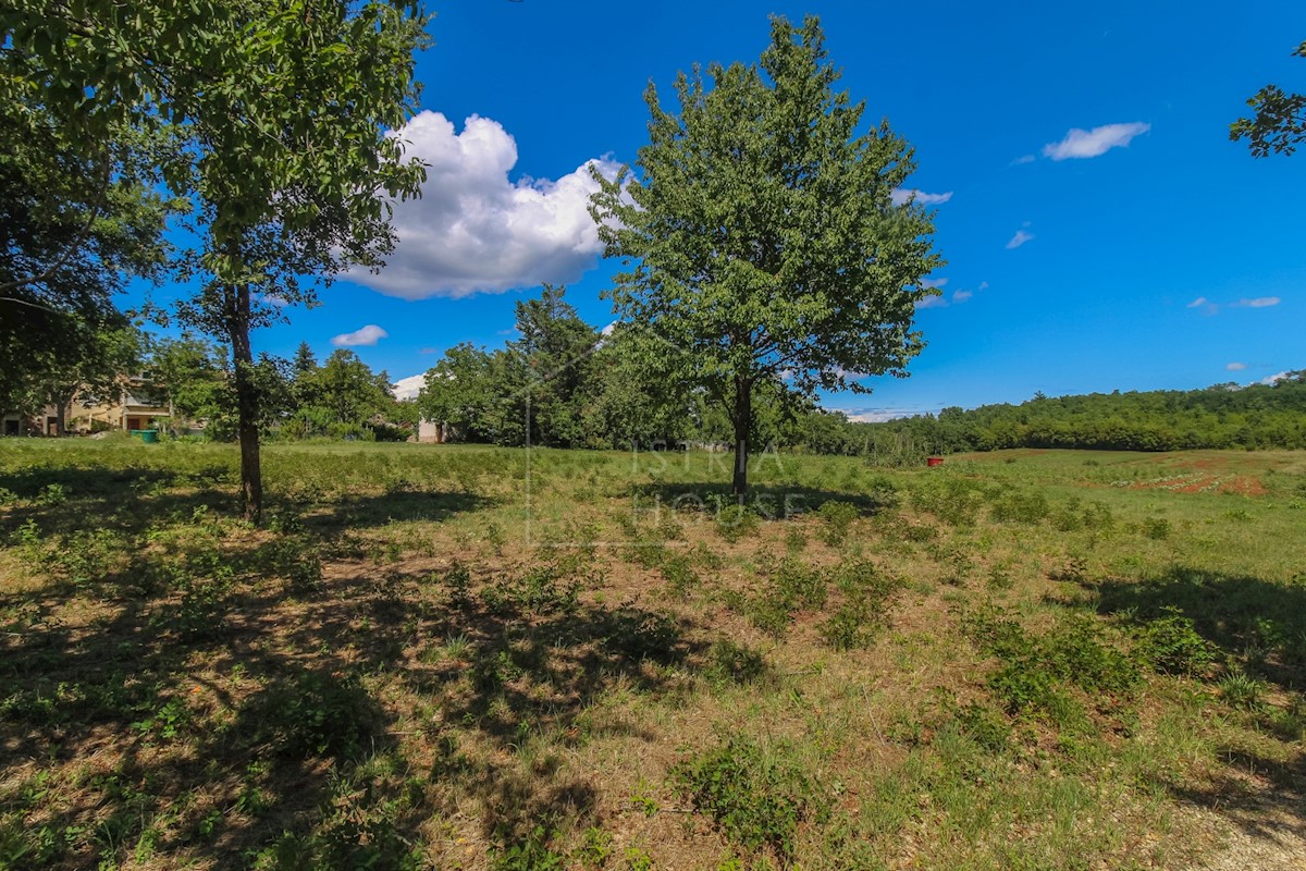 Parcela Na predaj - ISTARSKA POREČ