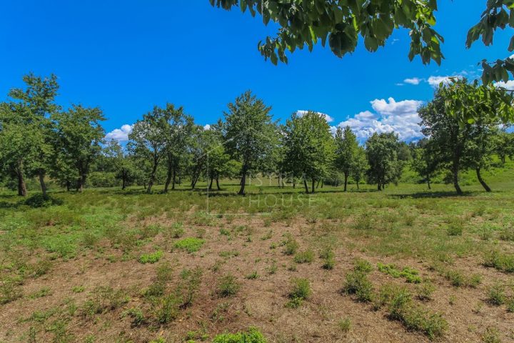 Terrain à vendre 842 m² – Poreč