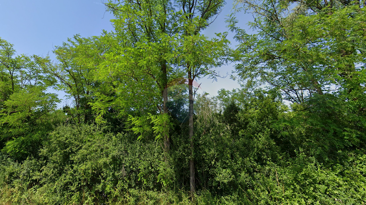 Land For sale - ISTARSKA KAROJBA