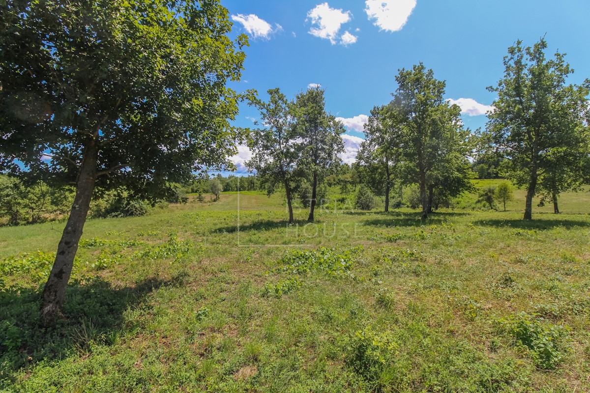 Terrain À vendre - ISTARSKA POREČ
