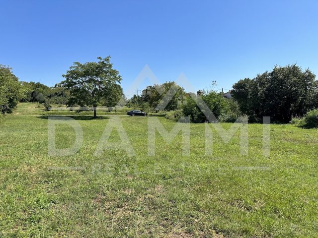 Land For sale - Istarska žminj - foto 2/2