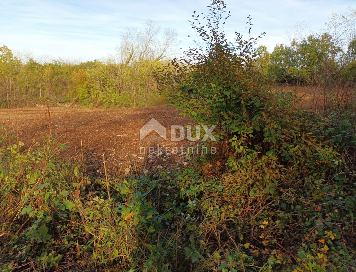 Land For sale - ISTARSKA LABIN