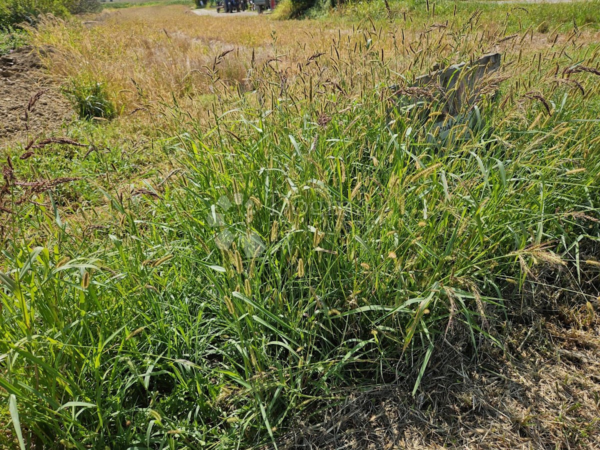 Terreno In vendita - VARAŽDINSKA JALŽABET