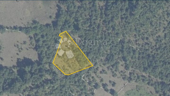 Terrain À vendre - Istarska Svetvinčenat - foto 2/3