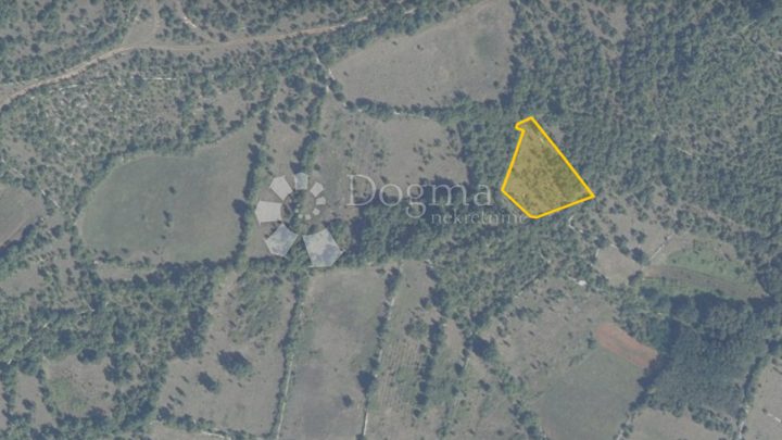 Terrain À vendre - Istarska Svetvinčenat - foto 3/3