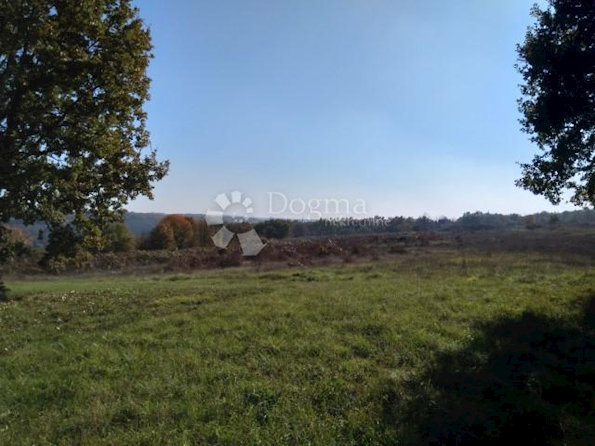 Parcela Naprodaj - ISTARSKA Tinjan