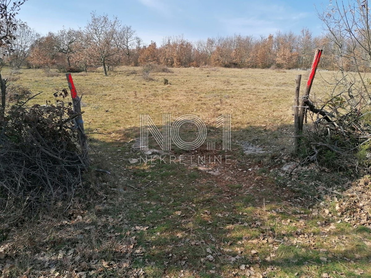 Pozemok Na predaj - ISTARSKA VIŠNJAN