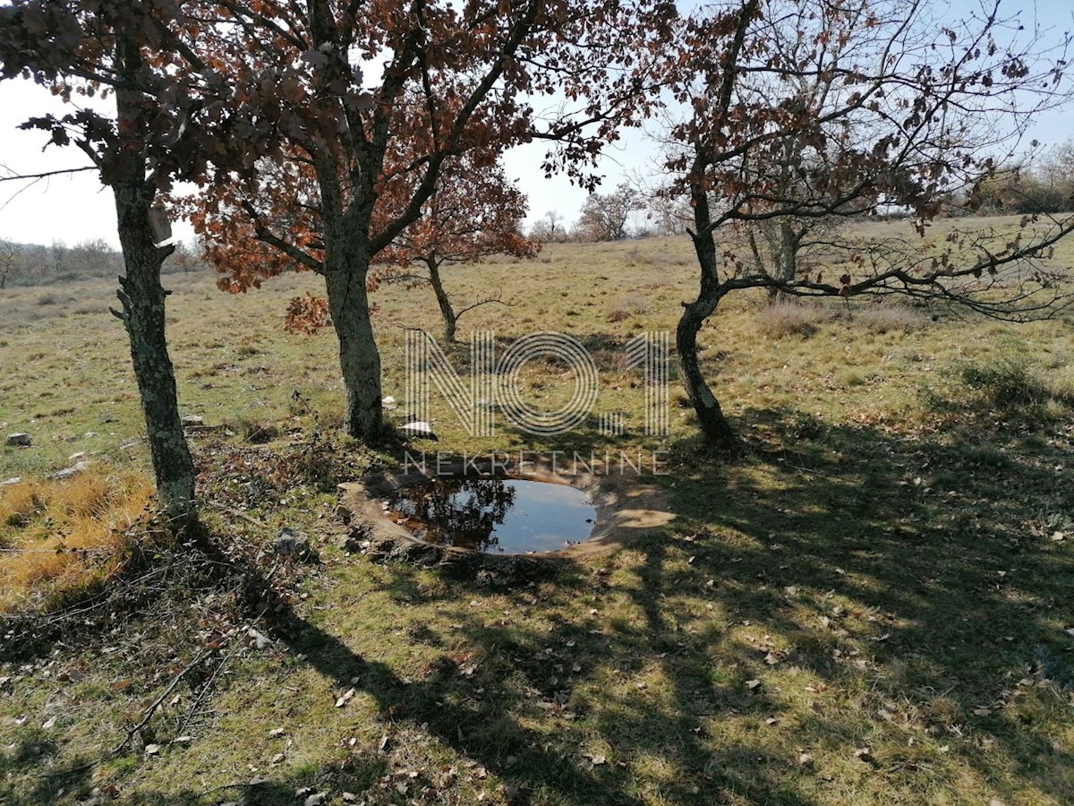 Pozemok Na predaj - ISTARSKA VIŠNJAN