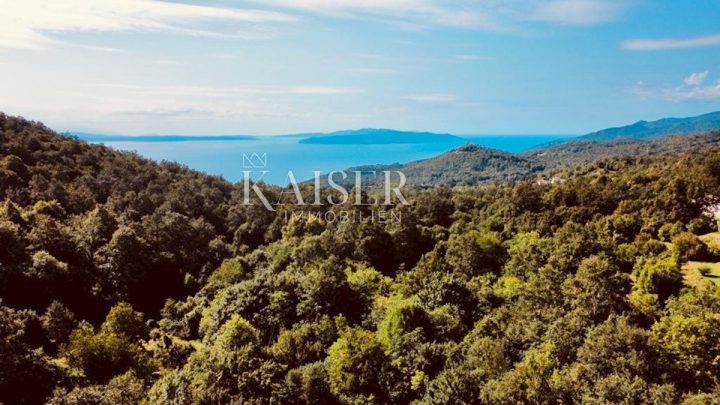 Zemljište na prodaju 1560 m² – Veprinac
