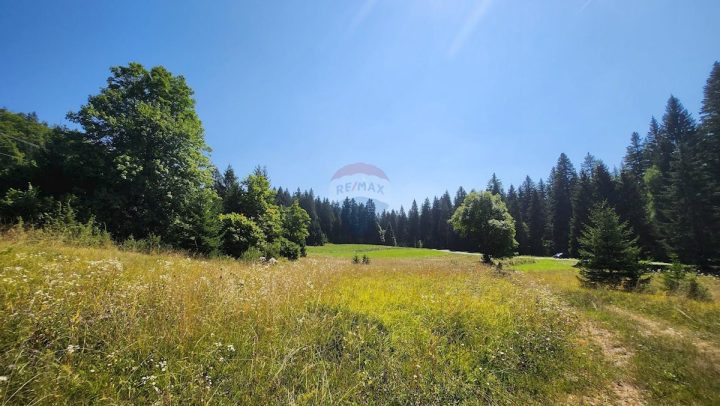 Land for sale 1728 m² – Sunger