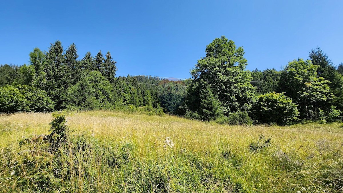 Land For sale - PRIMORSKO-GORANSKA MRKOPALJ