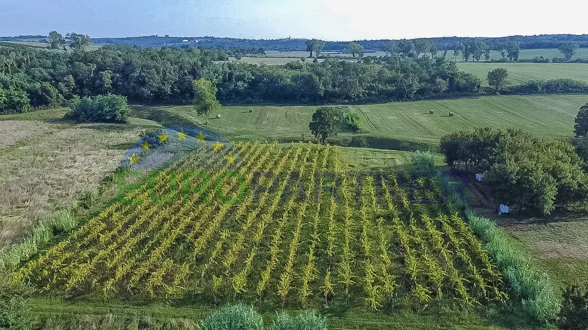 Zemljište Na prodaju - ISTARSKA BUJE