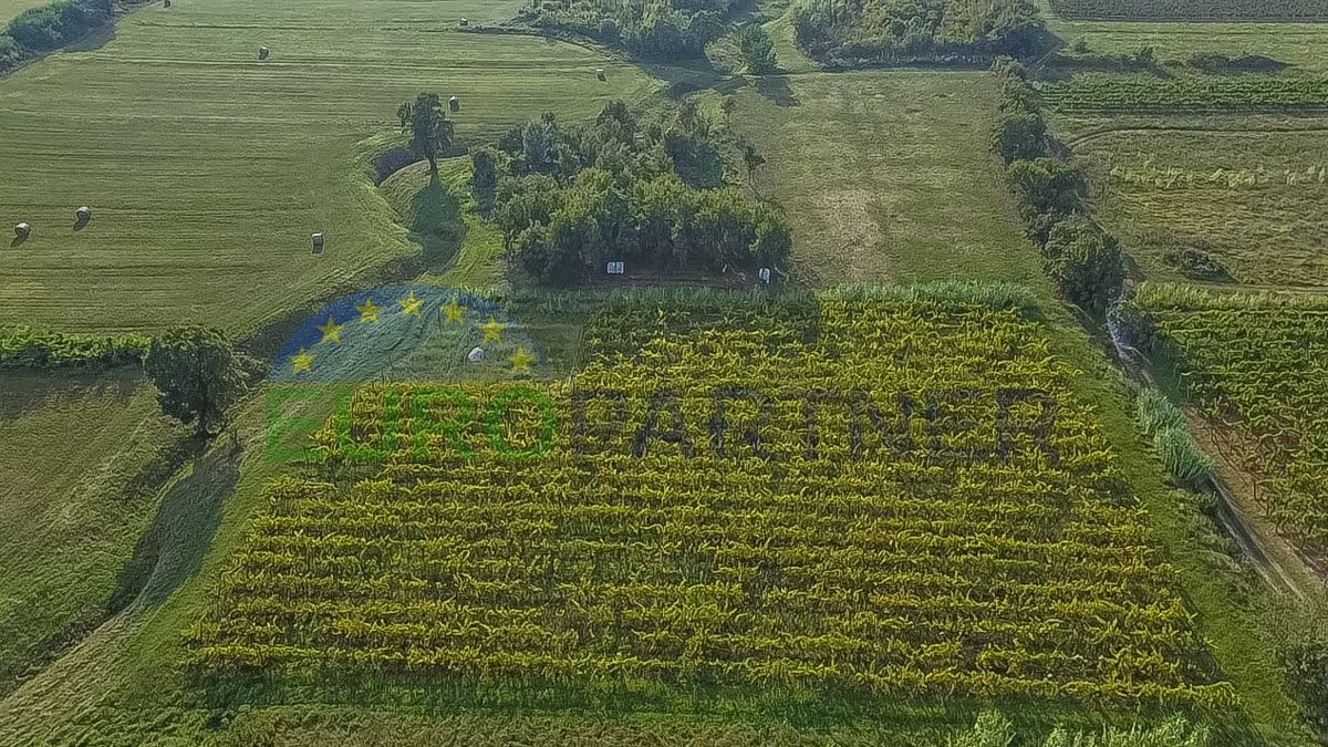 Zemljište Na prodaju - ISTARSKA BUJE