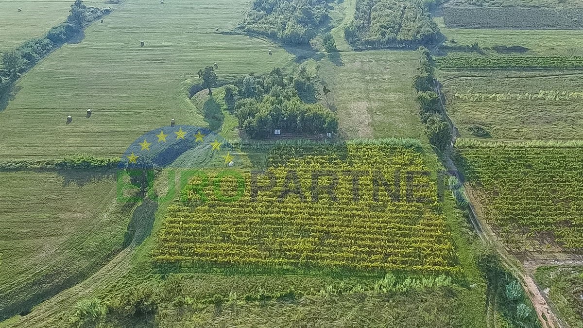 Parcela Naprodaj - ISTARSKA Buje