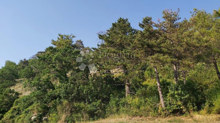Działka Na sprzedaż - Istarska Kršan - foto 2/6