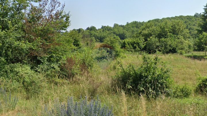 Działka na sprzedaż 17562 m² – Škropeti