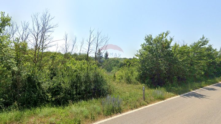 Działka na sprzedaż 21856 m² – Škropeti