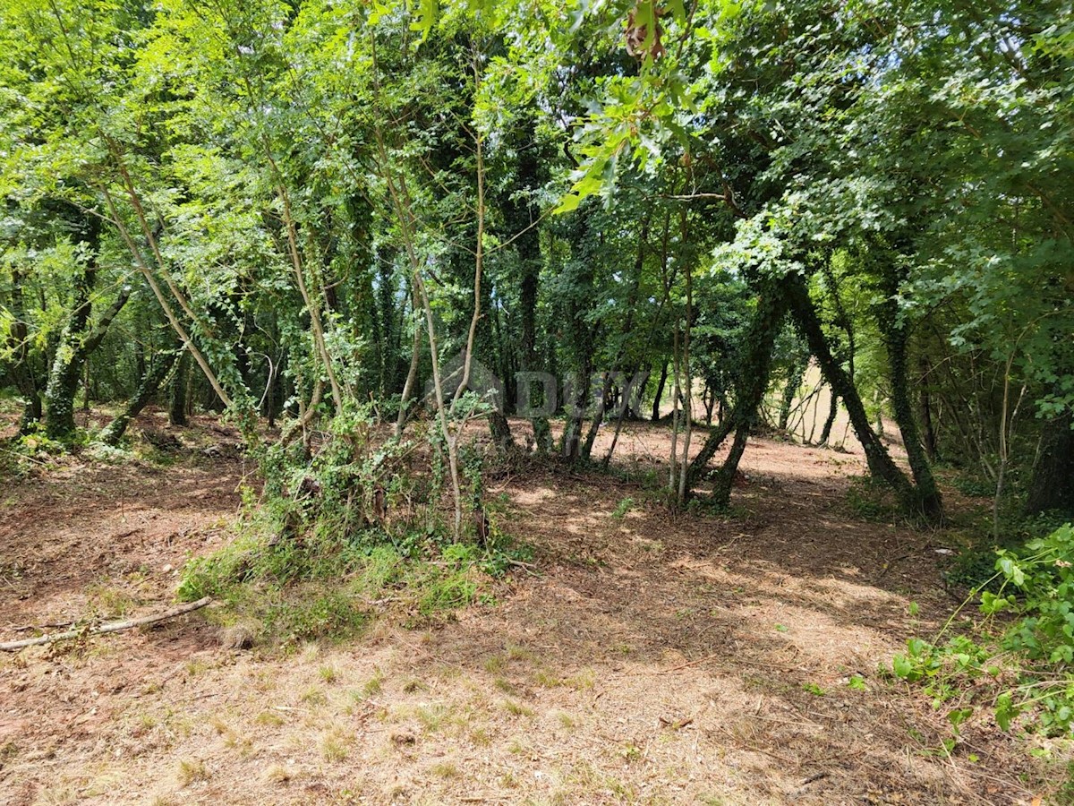 Parcela Naprodaj - ISTARSKA Barban