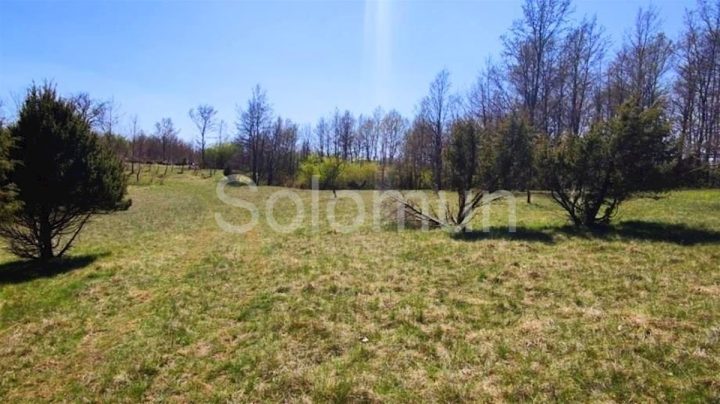Land for sale 27672 m² – Rovinjsko Selo