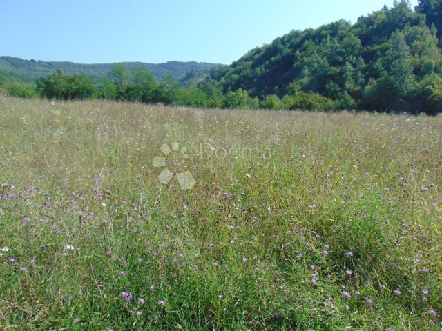 Terrain à vendre 3352 m² – Butoniga