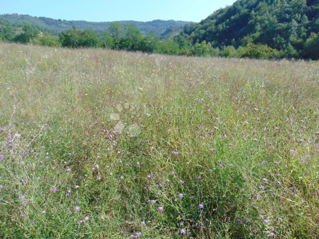 Parcela Naprodaj - Istarska Pazin - foto 4/4