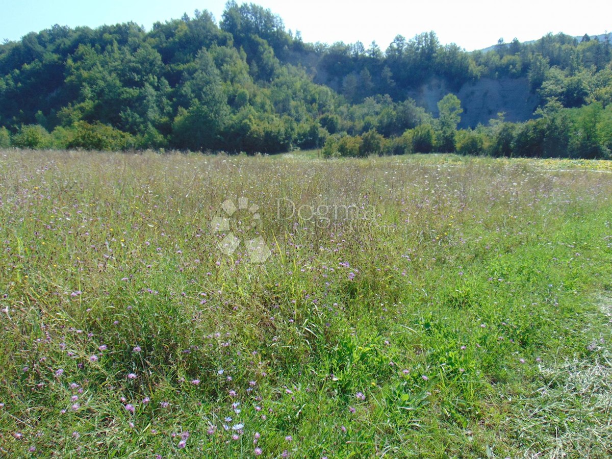 Terreno In vendita - ISTARSKA PAZIN