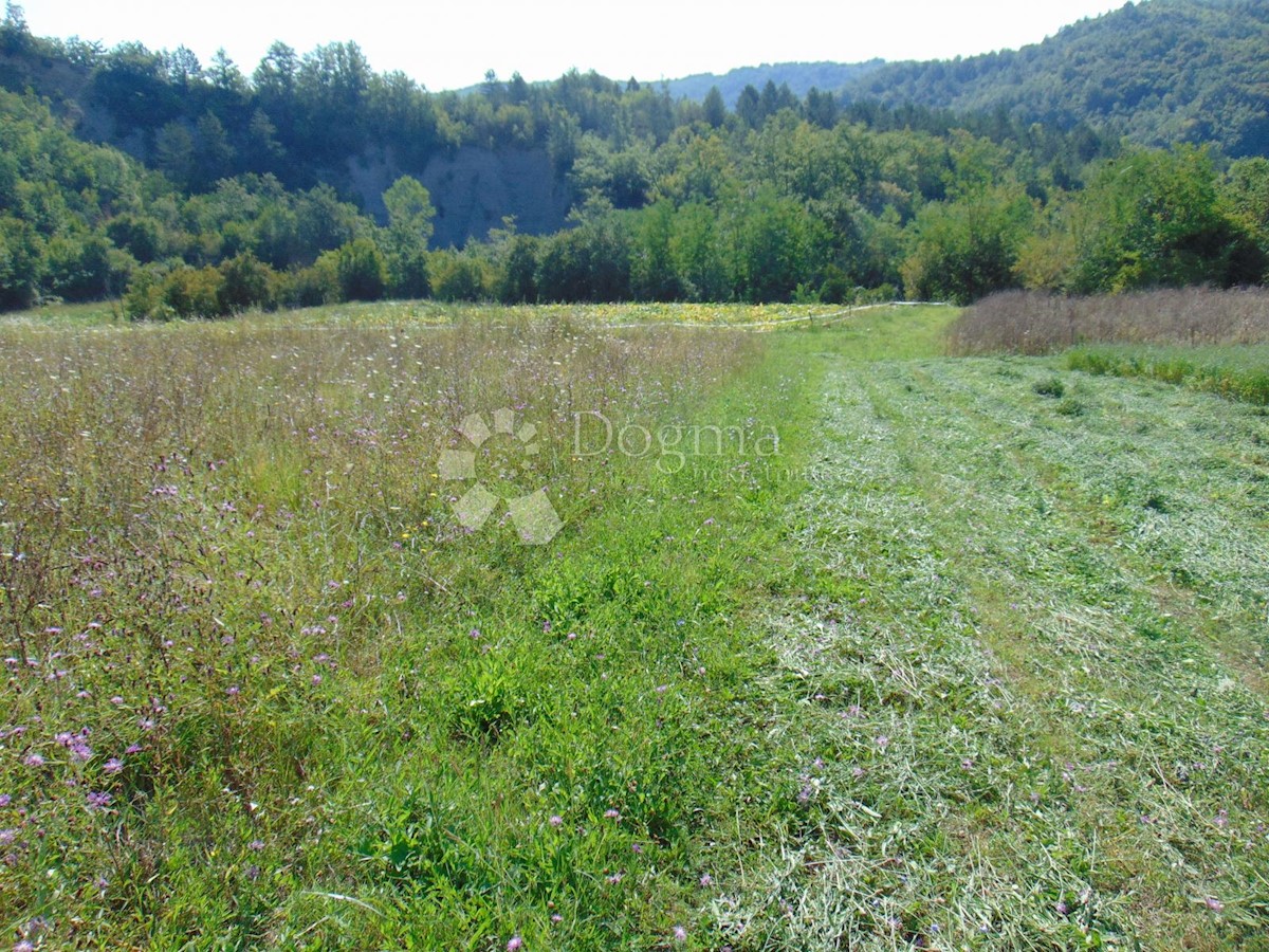 Terreno In vendita - ISTARSKA PAZIN