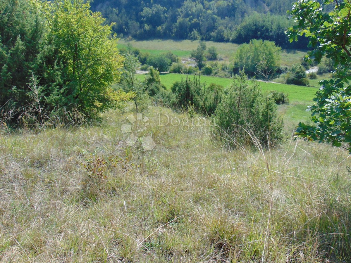 Terrain À vendre BUTONIGA