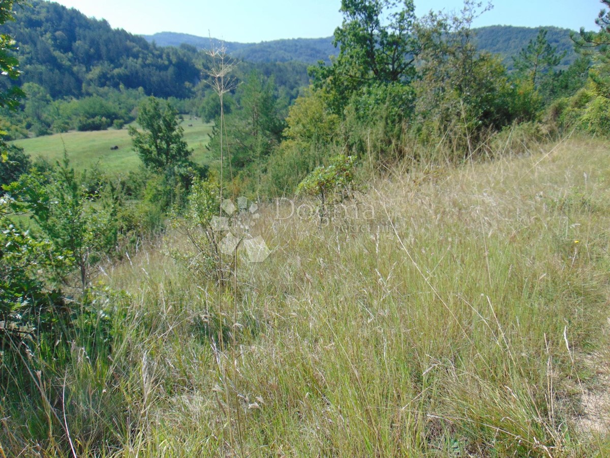 Terrain À vendre - ISTARSKA PAZIN