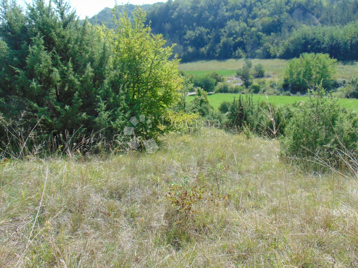 Terrain À vendre - ISTARSKA PAZIN