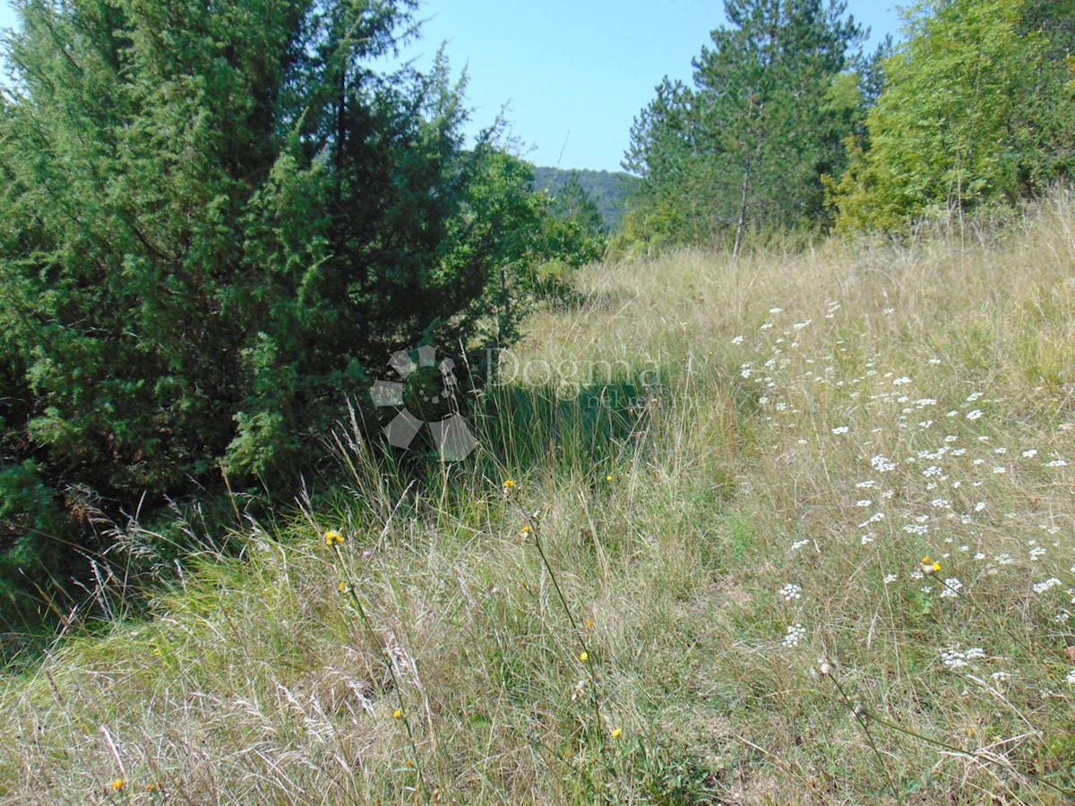 Terrain À vendre - ISTARSKA PAZIN