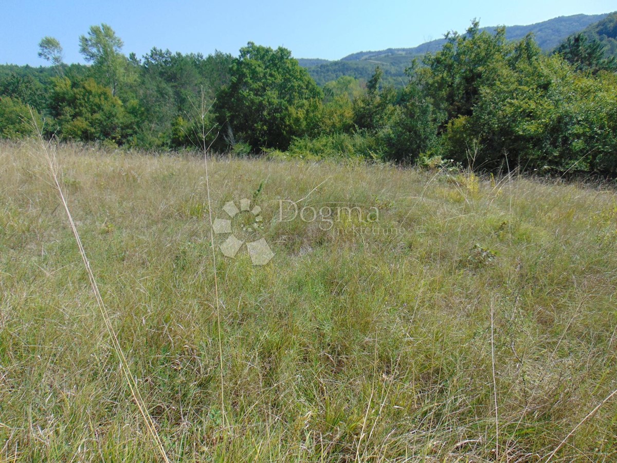 Terrain À vendre - ISTARSKA PAZIN