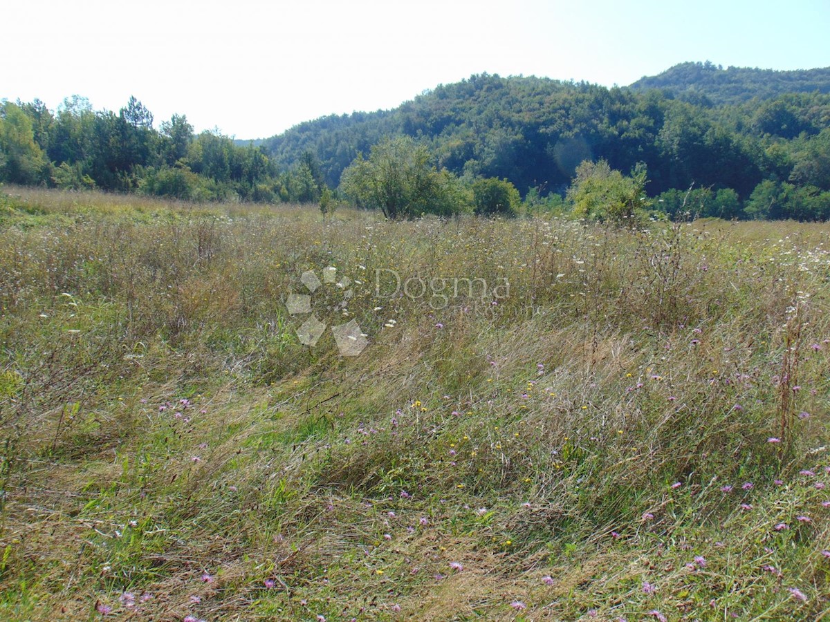 Terrain À vendre - ISTARSKA PAZIN