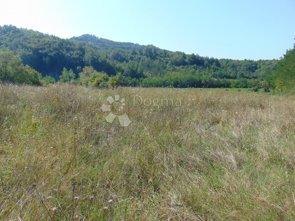 Parcela Naprodaj - ISTARSKA Pazin