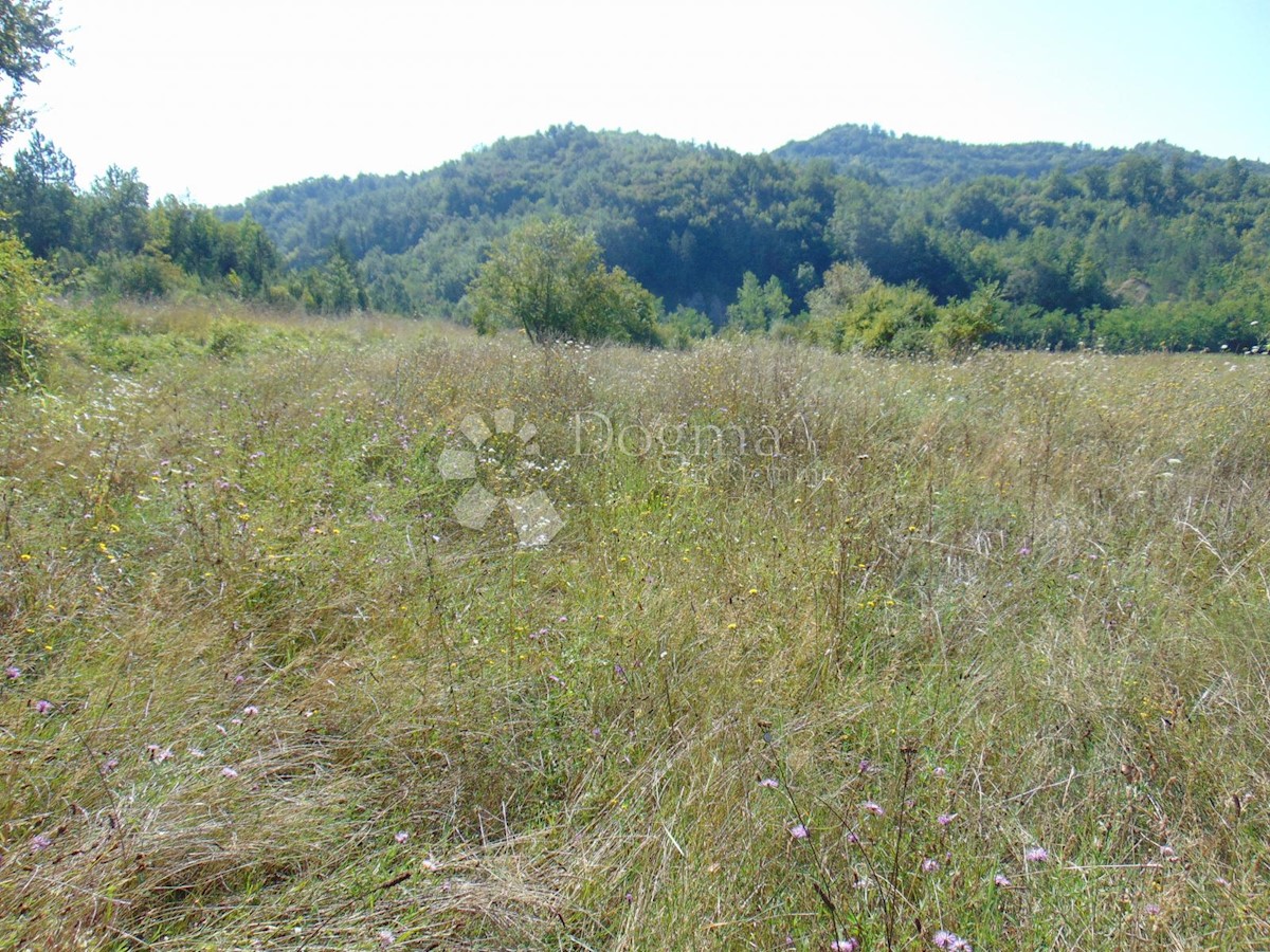 Terrain À vendre - ISTARSKA PAZIN