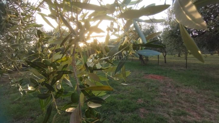Pozemok Na predaj - Istarska Fažana - foto 2/9
