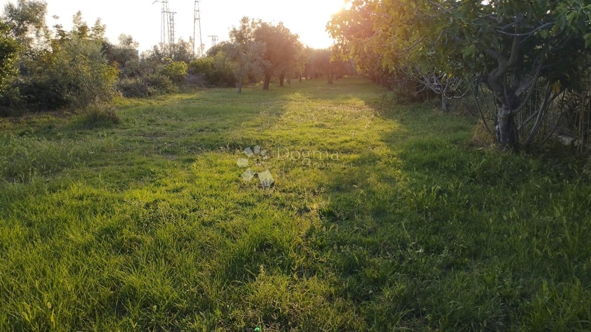 Zemljište Na prodaju - ISTARSKA FAŽANA